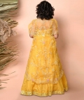 Lehenga Set