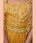 Lehenga Set