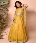 Lehenga Set