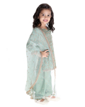 Gold Dori Kurti with salwar & Dupatta