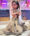 Gold Tissue Lehenga Set With Border