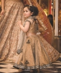 Gold Tissue Lehenga Set With Border
