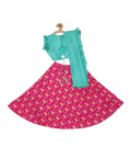 Perched Owl Lehnga Set