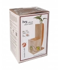 Multiuse Mini Plant Holder - Ivy