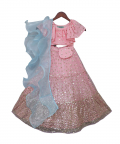 Pink Sequence Top with Lehenga