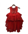 Red Embroidered High Low Gown