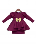Wine Lycra Dress