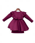 Wine Lycra Dress