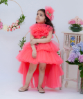Pink Shimmer Net Gown