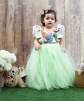 Off White And Green Net Gown With Animals Motifs