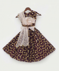 Wine Embroidery Velvet Lehenga Choli And Dupatta