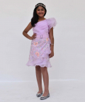 Lilac Embroidery And Organza Dress