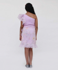 Lilac Embroidery And Organza Dress