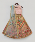 Peach Choli And Embroidery Lehenga Dupatta