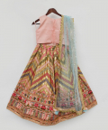 Peach Choli And Embroidery Lehenga Dupatta
