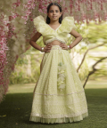 Green Embroidery Lehenga Choli