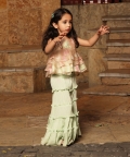 Light Peach Embroidery Top with Sharara