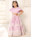 Lilac Embroidred Crop Top Lehenga