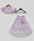 Lilac Embroidred Crop Top Lehenga