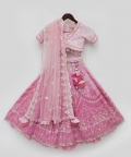Pink Sequence Embroidery Lehenga Choli