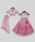 Pink Sequence Embroidery Lehenga Choli