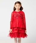 Red Lace Party Dress