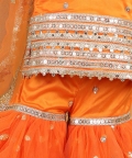 Sharara With Gathers And Work