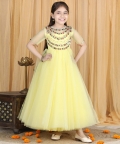Anarkali With Hand Embroidery And Net Flare