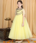 Anarkali With Hand Embroidery And Net Flare