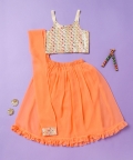 Mirror Work Lehenga Set