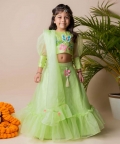 Green Butterfly Ghagra