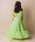 Green Butterfly Ghagra
