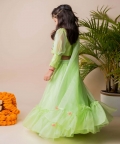 Green Butterfly Ghagra
