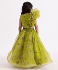 Green Printed Drape Blouse Top With Lehenga Skirt
