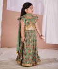 Green Fish Kalamkari Lehenga Set 