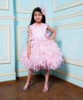 Precious Dress