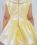 Delicate Yellow Organza Dress With Pearl Work On The Collar And Waistline