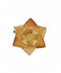 Little Love Rose Cushion