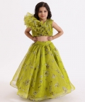 Green Printed Drape Blouse Top With Lehenga Skirt