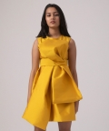 Paris Bow Detail Dress With Hair Pin