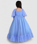 Torso Pleated Flaired Gown Emblished With Flower & Diamond