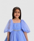 Torso Pleated Flaired Gown Emblished With Flower & Diamond