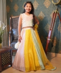 Multicolour Lehenga With Different Top Pattern