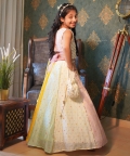 Multicolour Lehenga With Different Top Pattern