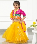 Front Open Top And Flared Organza Lehenga With Dupatta