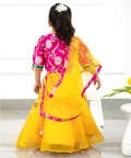 Front Open Top And Flared Organza Lehenga With Dupatta