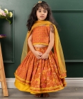 Fringes Strap Brown Top And Lehenga With Net Dupatta