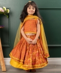 Fringes Strap Brown Top And Lehenga With Net Dupatta
