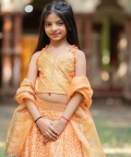 Embroidered Crop Top With Orange Lehenga