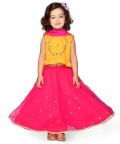 Embroidered Lehenga Choli With Dupatta